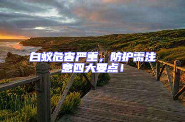 白蟻危害嚴重,防護需注意四大要點!