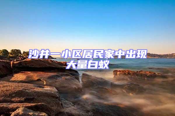 沙井一小區(qū)居民家中出現(xiàn)大量白蟻