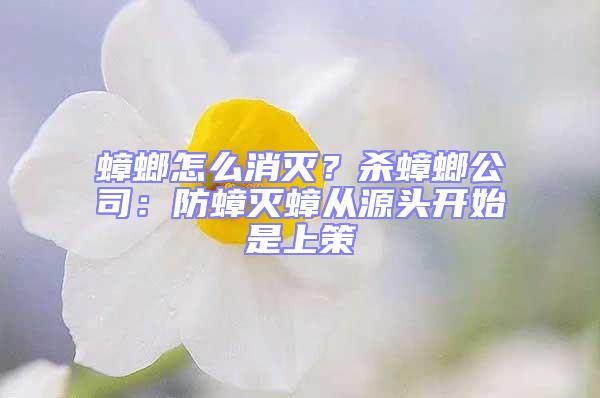 蟑螂怎么消滅？殺蟑螂公司：防蟑滅蟑從源頭開始是上策