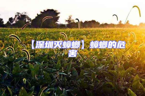 【深圳滅蟑螂】蟑螂的危害