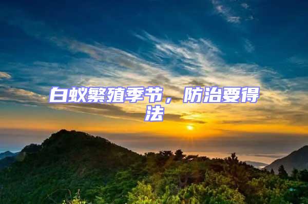 白蟻繁殖季節，防治要得法