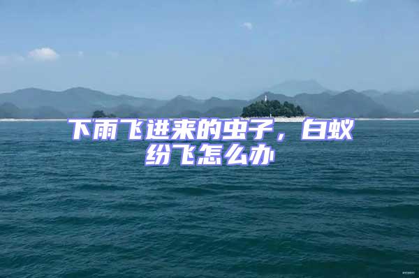 下雨飛進(jìn)來(lái)的蟲子，白蟻紛飛怎么辦
