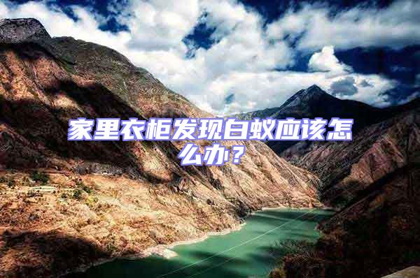 家里衣柜發現白蟻應該怎么辦？