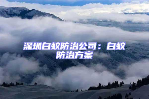 深圳白蟻防治公司：白蟻防治方案