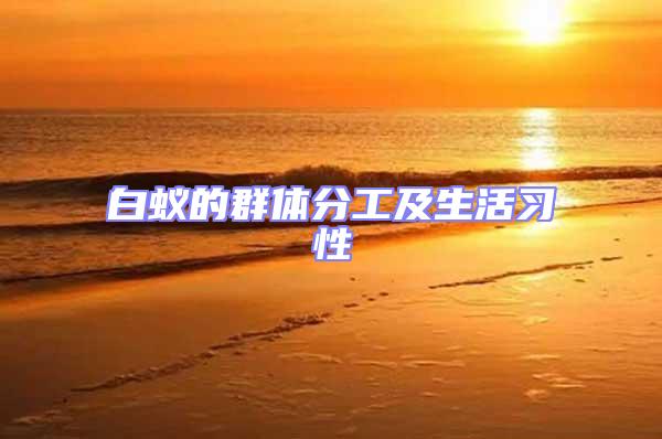白蟻的群體分工及生活習性