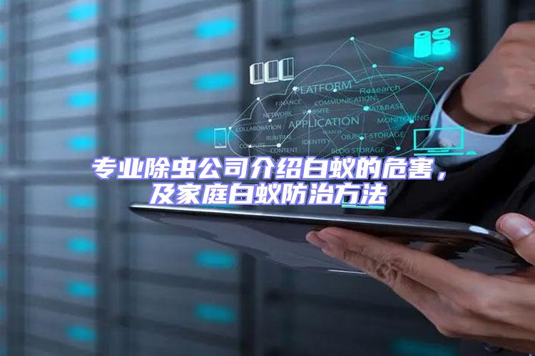 專業(yè)除蟲公司介紹白蟻的危害，及家庭白蟻防治方法