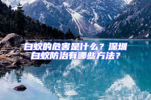 白蟻的危害是什么?深圳白蟻防治有哪些方法?