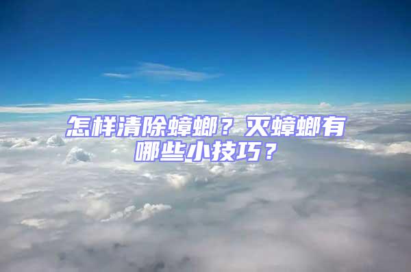 怎樣清除蟑螂？滅蟑螂有哪些小技巧？