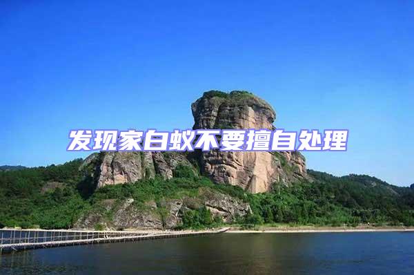 發(fā)現(xiàn)家白蟻不要擅自處理