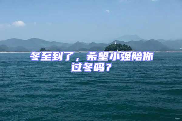 冬至到了,希望小強陪你過冬嗎?