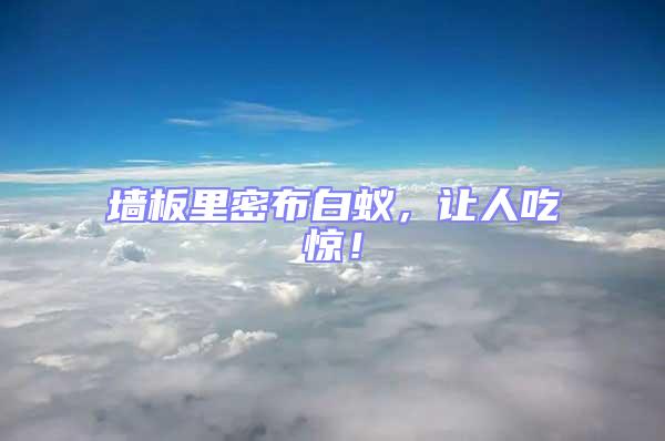 墻板里密布白蟻，讓人吃驚！