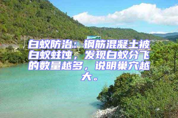 白蟻防治：鋼筋混凝土被白蟻蛀蝕，發現白蟻分飛的數量越多，說明巢穴越大。