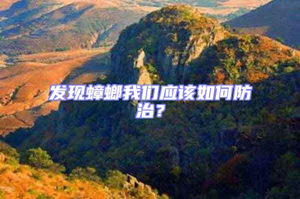 發現蟑螂我們應該如何防治？