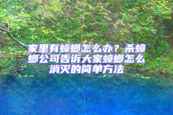 家里有蟑螂怎么辦？殺蟑螂公司告訴大家蟑螂怎么消滅的簡單方法