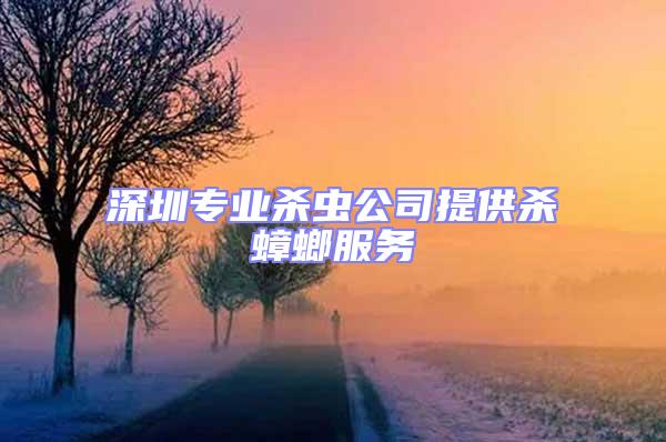 深圳專業(yè)殺蟲(chóng)公司提供殺蟑螂服務(wù)