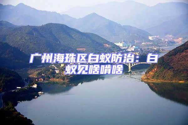 廣州海珠區(qū)白蟻防治：白蟻見啥啃啥