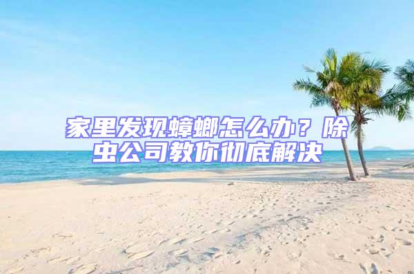 家里發現蟑螂怎么辦？除蟲公司教你徹底解決