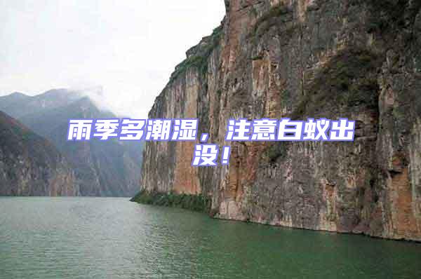 雨季多潮濕，注意白蟻出沒(méi)！