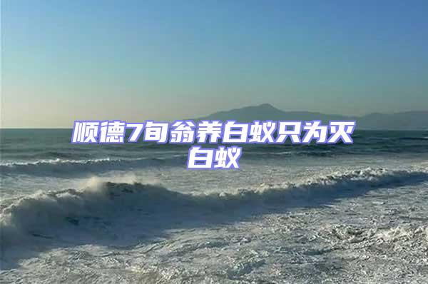 順德7旬翁養白蟻只為滅白蟻