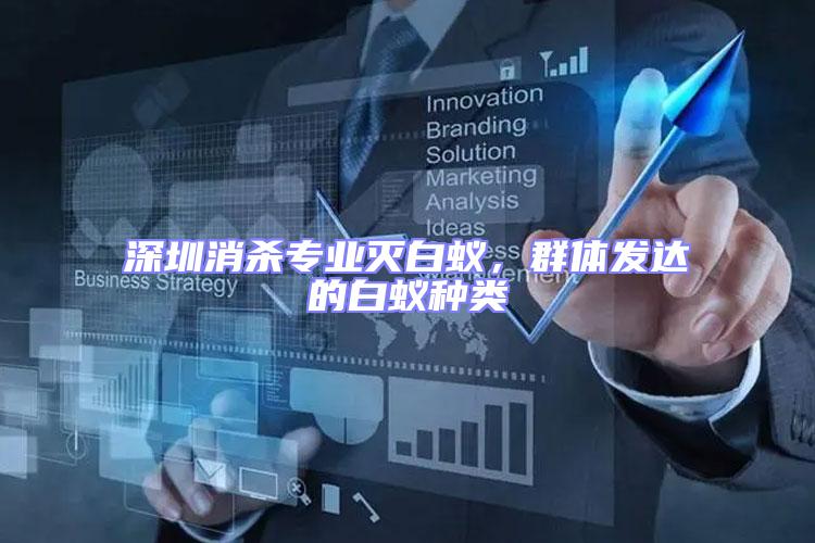 深圳消殺專業(yè)滅白蟻，群體發(fā)達的白蟻種類