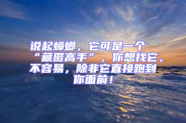 說起蟑螂，它可是一個“藏匿高手”，你想找它，不容易，除非它直接跑到你面前！