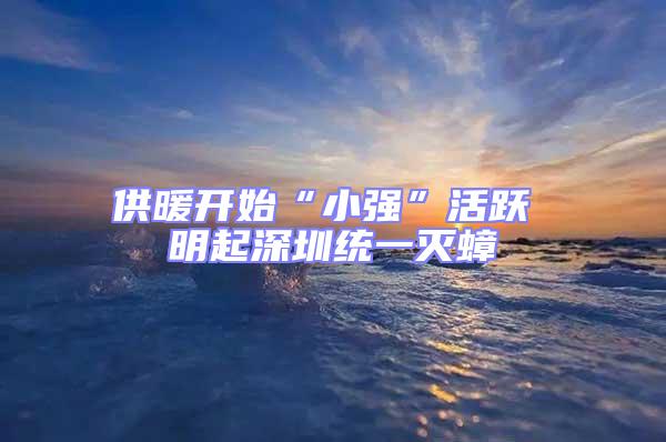 供暖開(kāi)始“小強(qiáng)”活躍 明起深圳統(tǒng)一滅蟑