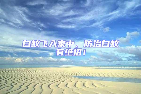 白蟻飛入家中，防治白蟻有絕招！