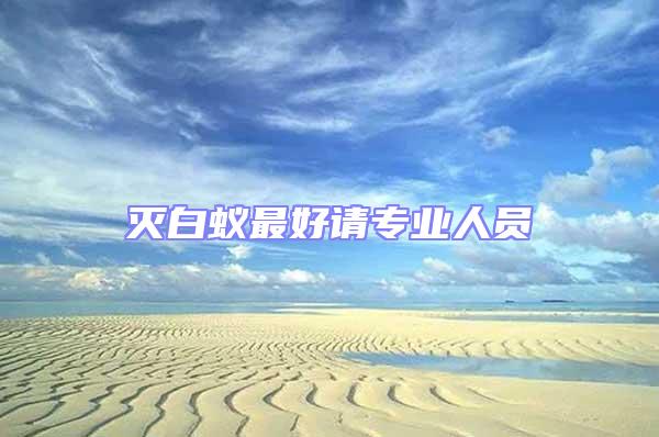 滅白蟻?zhàn)詈谜垖I(yè)人員