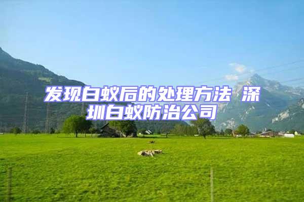 發(fā)現(xiàn)白蟻后的處理方法┋深圳白蟻防治公司┋
