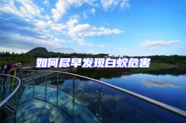 如何盡早發(fā)現(xiàn)白蟻危害