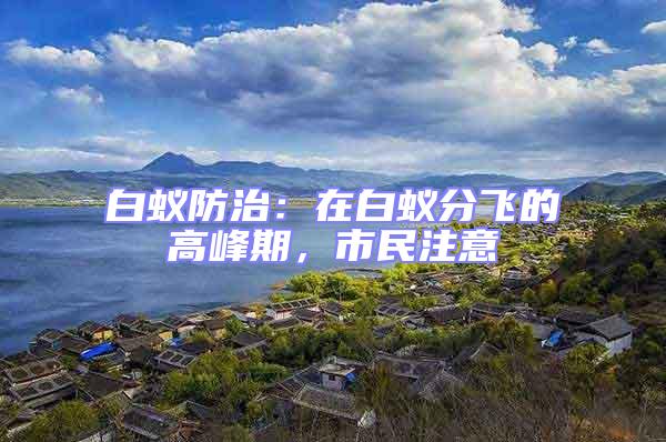 白蟻防治:在白蟻分飛的高峰期,市民注意