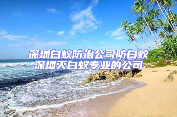 深圳白蟻防治公司防白蟻深圳滅白蟻專業(yè)的公司