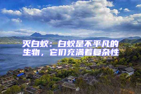 滅白蟻：白蟻是不平凡的生物，它們充滿著復(fù)雜性