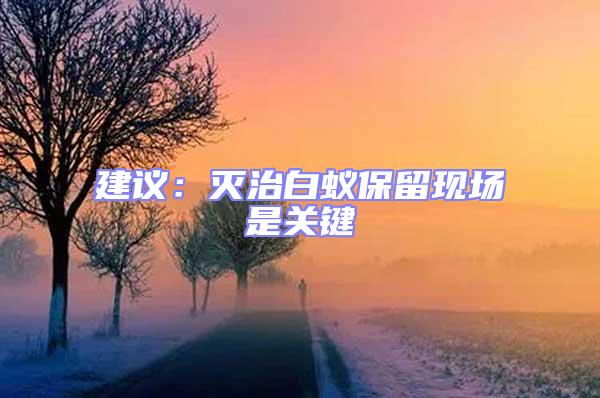 建議：滅治白蟻保留現場是關鍵