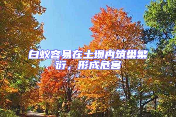 白蟻容易在土壩內筑巢繁衍，形成危害
