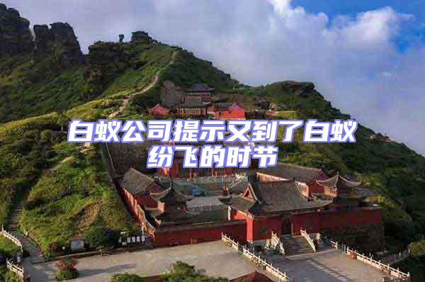白蟻公司提示又到了白蟻紛飛的時節