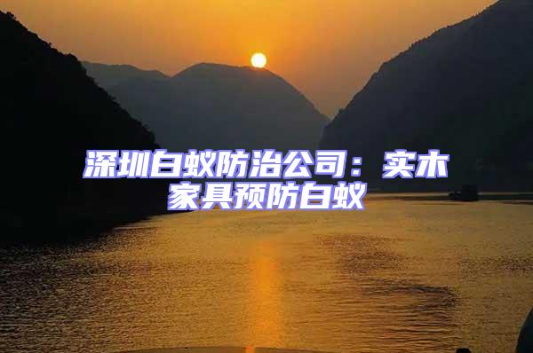 深圳白蟻防治公司：實木家具預防白蟻