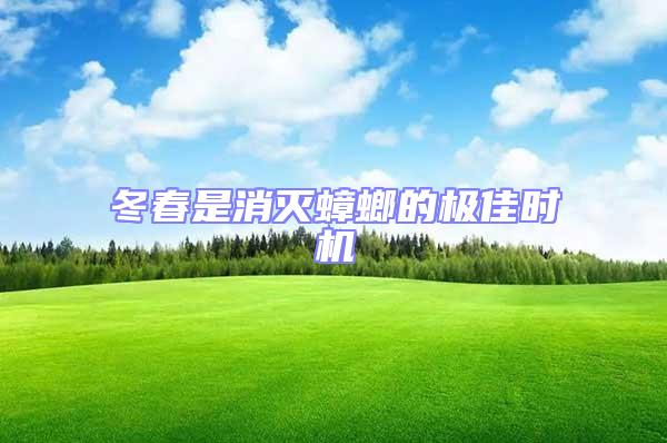 冬春是消滅蟑螂的極佳時(shí)機(jī)