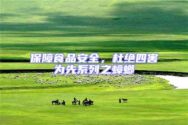 保障食品安全,杜絕四害為先系列之蟑螂