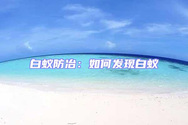 白蟻防冶：如何發(fā)現(xiàn)白蟻
