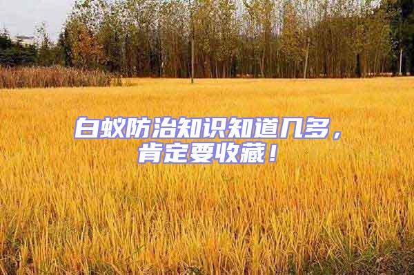 白蟻防治知識(shí)知道幾多，肯定要收藏！