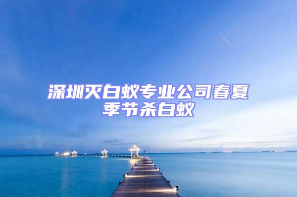 深圳滅白蟻專(zhuān)業(yè)公司春夏季節(jié)殺白蟻