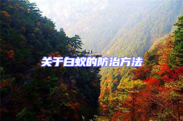 關(guān)于白蟻的防治方法