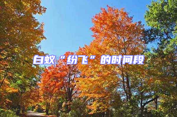 白蟻“紛飛”的時(shí)間段