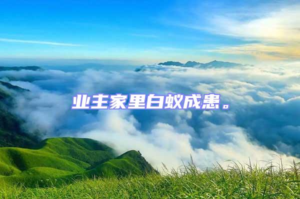 業(yè)主家里白蟻成患。