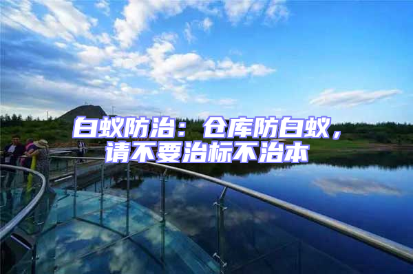 白蟻防治:倉庫防白蟻,請不要治標不治本