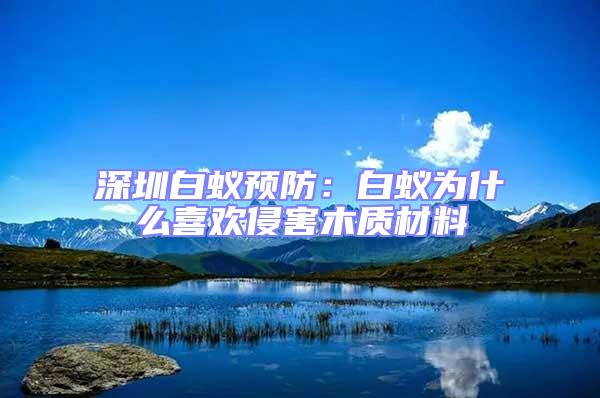 深圳白蟻預(yù)防:白蟻為什么喜歡侵害木質(zhì)材料