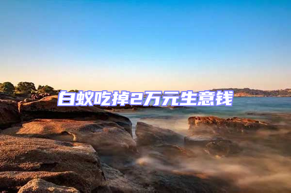 白蟻吃掉2萬(wàn)元生意錢