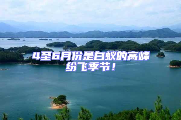 4至6月份是白蟻的高峰紛飛季節(jié)！