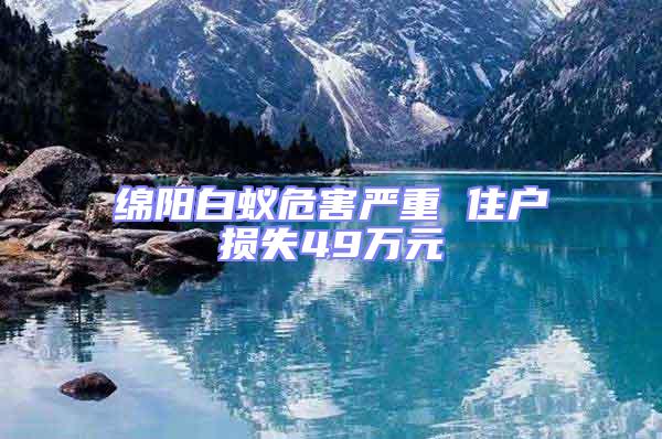 綿陽白蟻危害嚴(yán)重 住戶損失49萬元